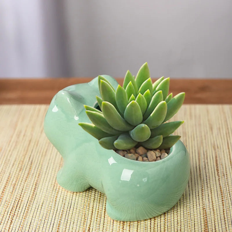 Mini pot de fleurs créatif en céramique pour plantes succulentes, joli pot de fleurs pour plantes vertes avec trou, décoration de jardin pour la maison et l'extérieur