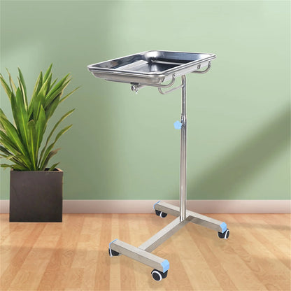 Beauty Salon Rolling Cart With Tray Holder Clinics Dentistry Trolley Stainless Steel Mobile Cart  Brake Wheels