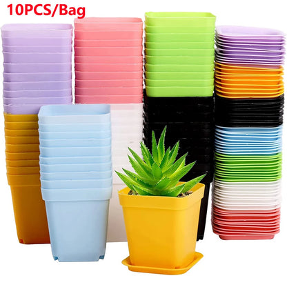 10PCS Gardening Mini Small Square Pot Flower Pot Succulent Pot Little Black Square Plastic Pot Seedling Tray Containe