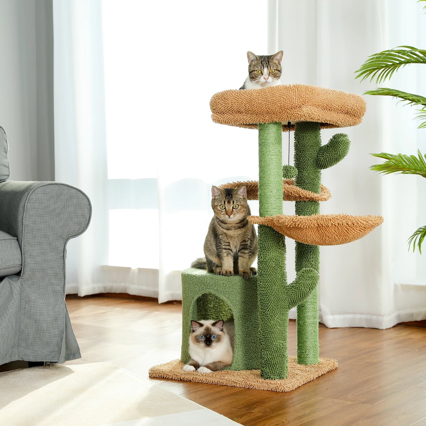 Arbre à chat en forme de cactus, maison pour chat avec griffoir, joli meuble de jeu avec condo, griffoir moderne pour animaux de compagnie