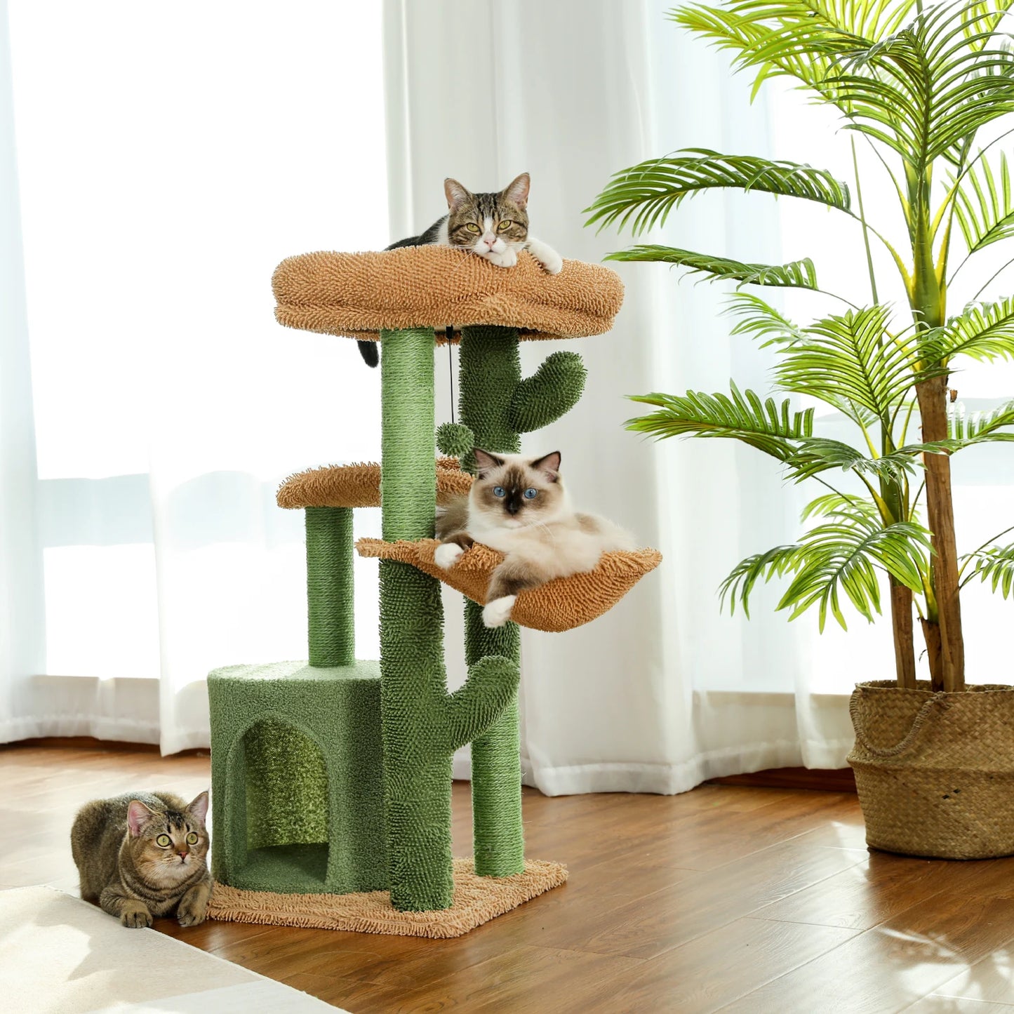 Arbre à chat en forme de cactus, maison pour chat avec griffoir, joli meuble de jeu avec condo, griffoir moderne pour animaux de compagnie